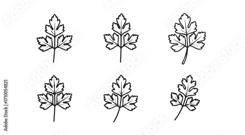 Six stylized parsley leaf silhouettes in a grid pattern