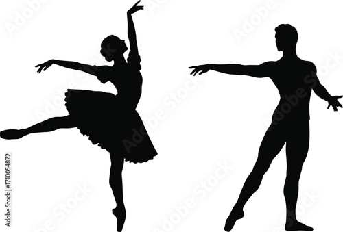 Silhouettes of a ballet dancer and partner in graceful motion
