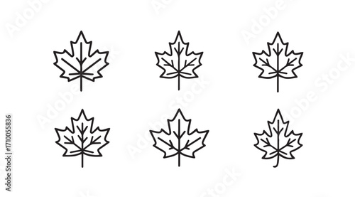Six hand drawn maple leaf silhouettes in a simple line art style