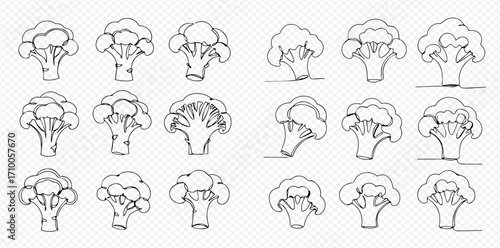 Multiple broccoli florets are arranged in a grid, depicted as line art outlines on a transparent background.