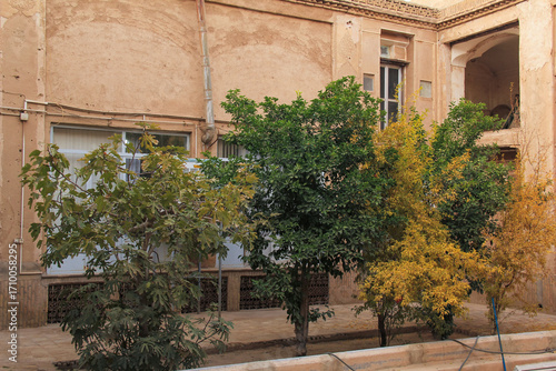 Traditional courtyard with trees and old adobe walls in Yazd, Iran, showcasing Persian architecture and desert lifestyle.