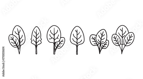 A simple line drawing silhouette of various leafy green plants and spinach silhouette