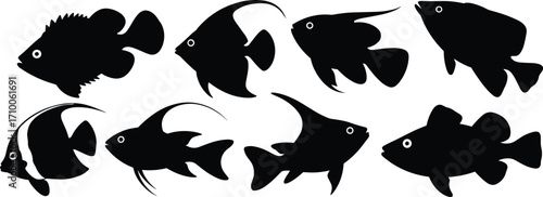 Fish silhouette illustrations, aquatic animal icons, black and white clipart, marine species shapes, fin designs, vector bundle set, taxonomy pack