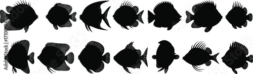 Fish silhouette illustrations, aquatic species icons, black and white clipart, marine life shapes, underwater animals, vector bundle set, taxonomy design
