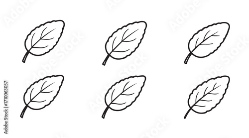 Six hand drawn stylized leaf silhouettes in a grid pattern