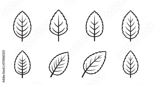 Collection of simple outline leaf silhouettes in various orientations