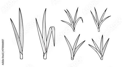 Collection of stylized grass blades in a simple line drawing silhouette