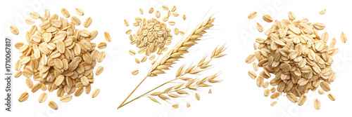 Set of Oats in a each flake distinct and softly curling  isolated on a transparent background
