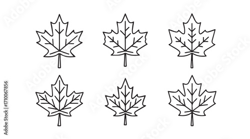 Six hand drawn outline maple leaves in a silhouette style