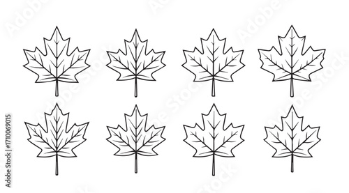Collection of eight stylized maple leaf silhouettes in black and white