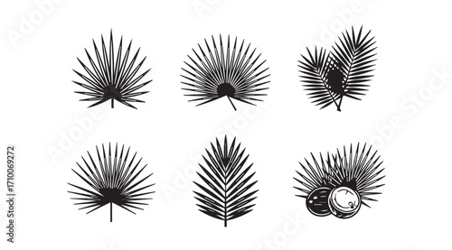 Collection of detailed black palm leaf silhouettes with tropical elements