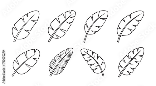 Collection of hand drawn banana leaf silhouettes in sketchy style