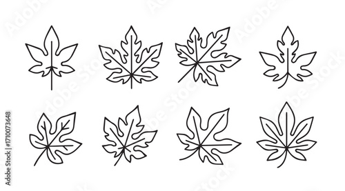 Collection of hand drawn stylized papaya leaf silhouettes for design elements silhouette