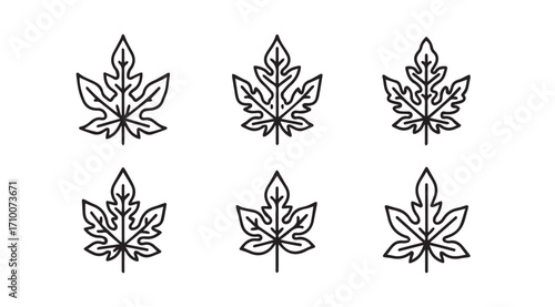 Six stylized papaya leaf silhouettes in a grid pattern