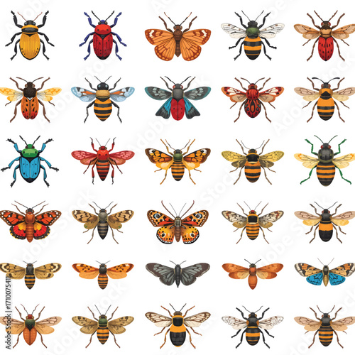 Diverse collection of illustrations featuring beetles and moths.
