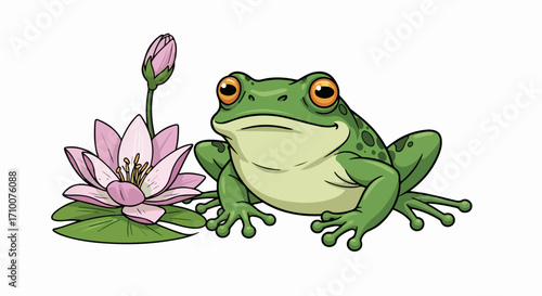 Green frog sits next to a vibrant pink water lily and bud. Green frog shows detailed green skin, prominent orange eyes, and sturdy legs on a lily pad. Green frog for nature education,
