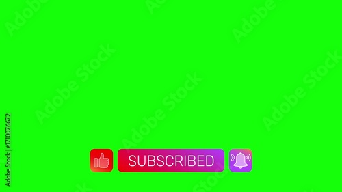 Red and purple gradient buttons for like, subscribe, and notifications rise upward. Finger cursor clicks each icon, switching text to subscribed. Green screen, 4K loop animation.
