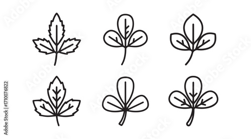 Six hand drawn botanical leaf silhouettes in a simple outline style