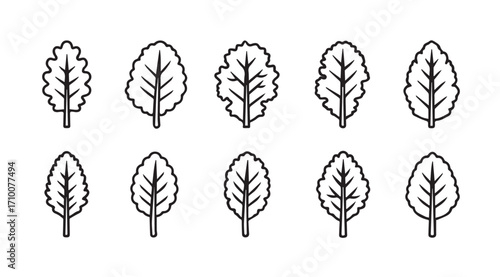 Collection of stylized oak leaf silhouettes in a simple line art design silhouette