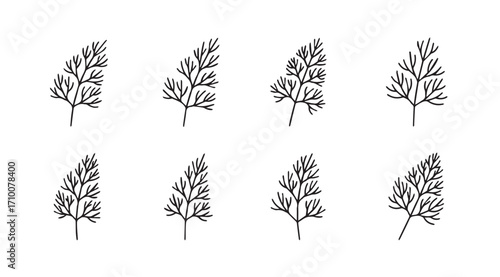 Collection of delicate black fern leaf silhouettes on a white background