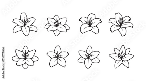 Collection of eight delicate lily flower silhouettes in a grid pattern