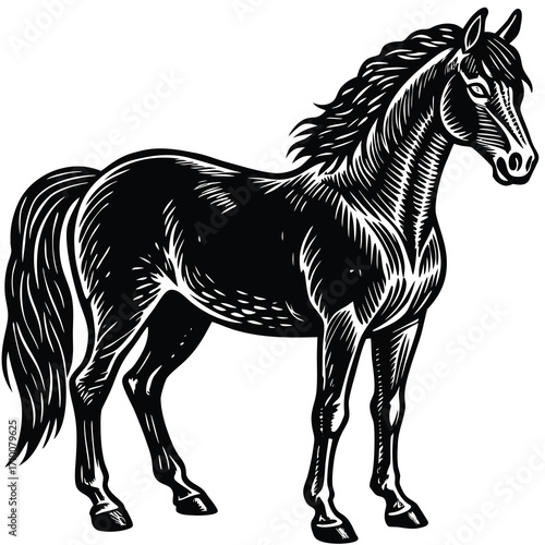 Vintage horse engraving style illustration in black and white with detailed linework and classic aesthetic