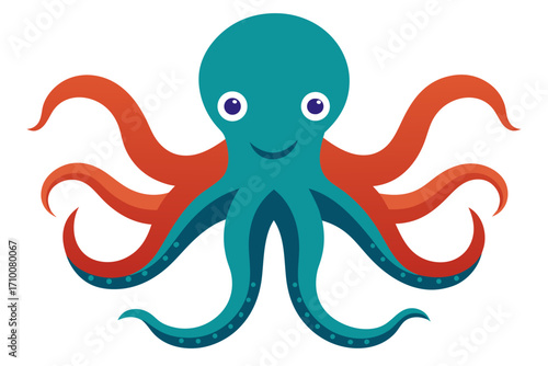 octopus