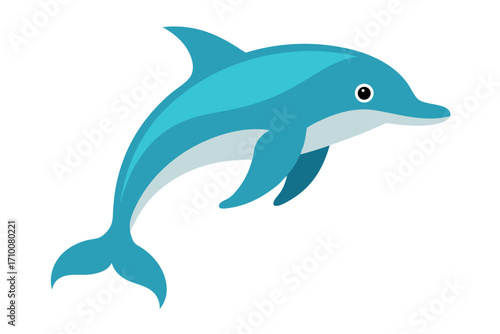 dolphin isolated on white background