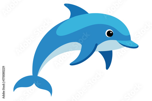 dolphin isolated on white