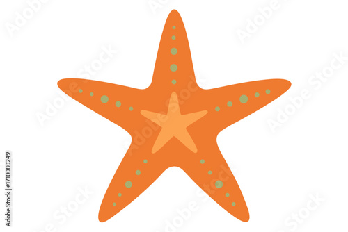 red starfish isolated on white