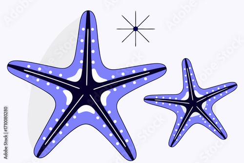 sea star vector illustration
