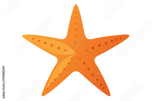 starfish isolated on white background