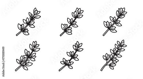 Six hand drawn botanical illustrations of lavender stems silhouette