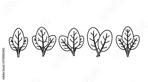 A row of simple hand drawn spinach leaf silhouettes in black and white silhouette