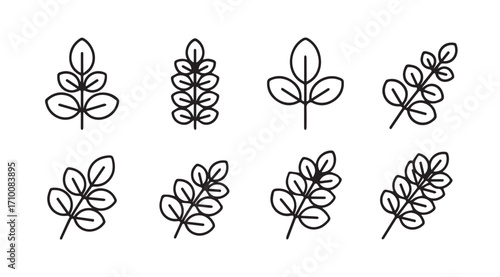 Collection of simple botanical leaf branch silhouettes in black outline