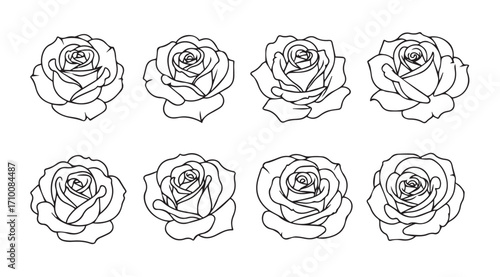 Collection of eight detailed rose outlines in a black and white silhouette style