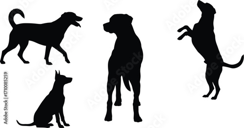 Dog silhouettes vector art black and white pet illustrations
