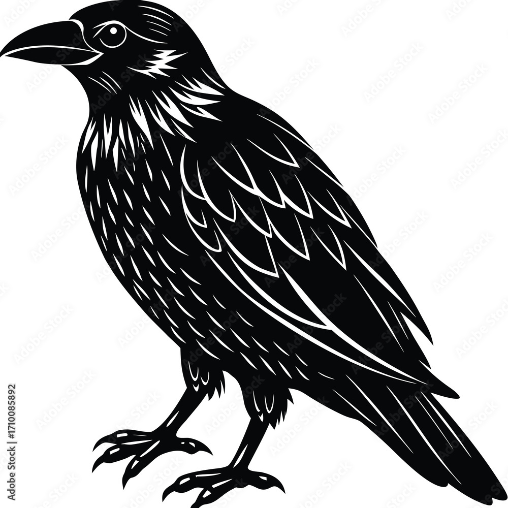 Fototapeta premium High contrast black silhouette of a raven bird with spread wings isolated on white background vector graphic design