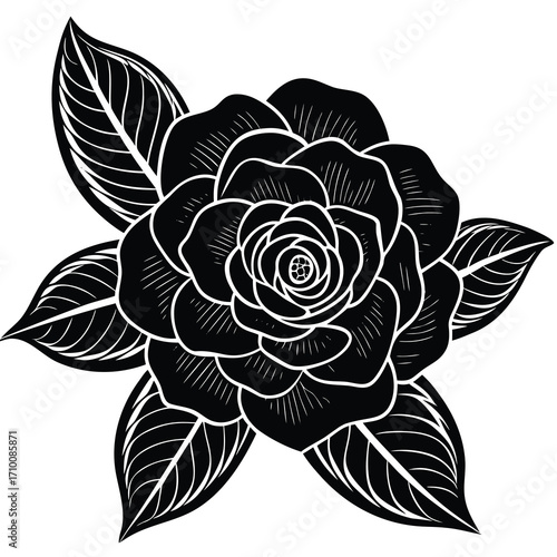 Elegant camellia flower illustration with delicate fine line details in a classic floral design