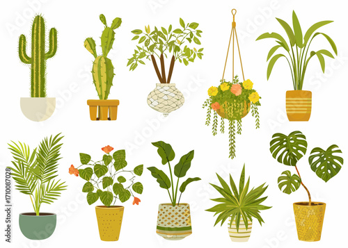 Collection of various potted houseplants and cacti in different pots