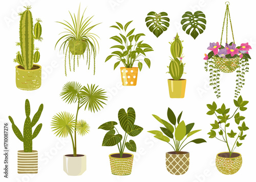 Collection of various potted houseplants and hanging plants