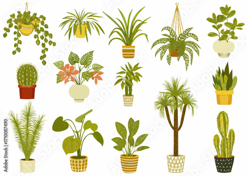 Collection of various potted houseplants and cacti in flat design style