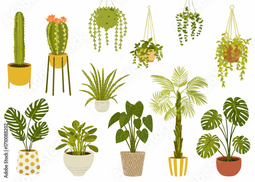 Collection of various potted houseplants and hanging plants