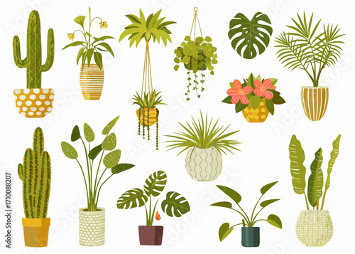 Collection of various potted houseplants and cacti in decorative pots
