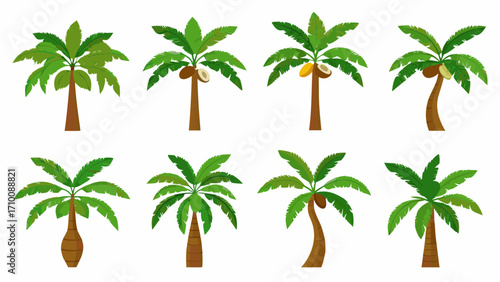 Collection of eight stylized tropical palm trees with coconuts and bananas