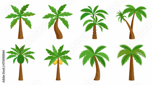 Collection of eight different cartoon palm trees with green leaves and brown trunks