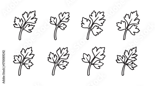 Collection of eight hand drawn parsley leaf sprigs in a simple silhouette style