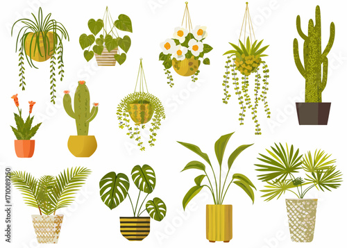 Collection of diverse potted and hanging houseplants in decorative planters