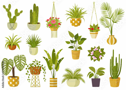 Collection of various potted houseplants and hanging plants