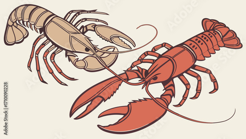 Two stylized lobsters seafood illustration crustacean drawing ocean life design menu graphic culinary art.